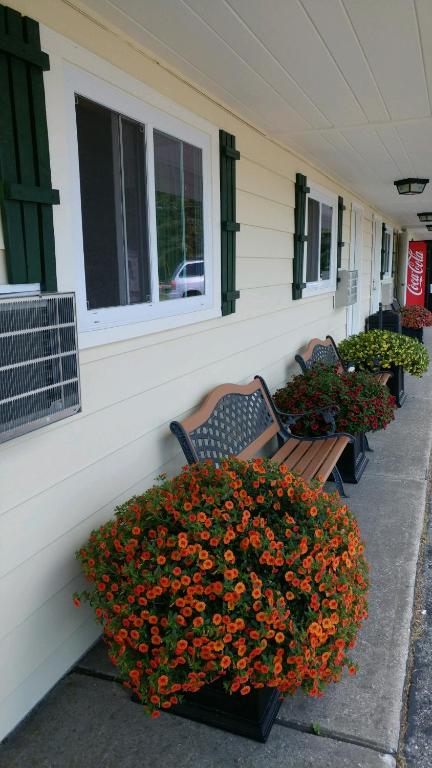Fotografie z fotogalerie ubytování Sunset Motel at Armand's Gardens v destinaci Saint Ignace