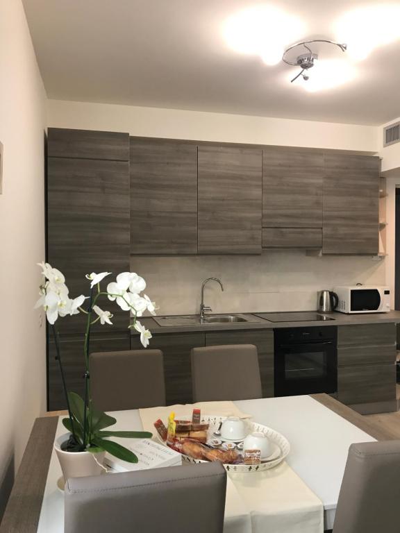Kuchyň nebo kuchyňský kout v ubytování Orchidea Apartment