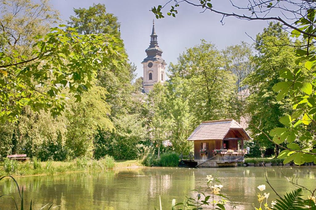 Příroda nedaleko apartmánu
