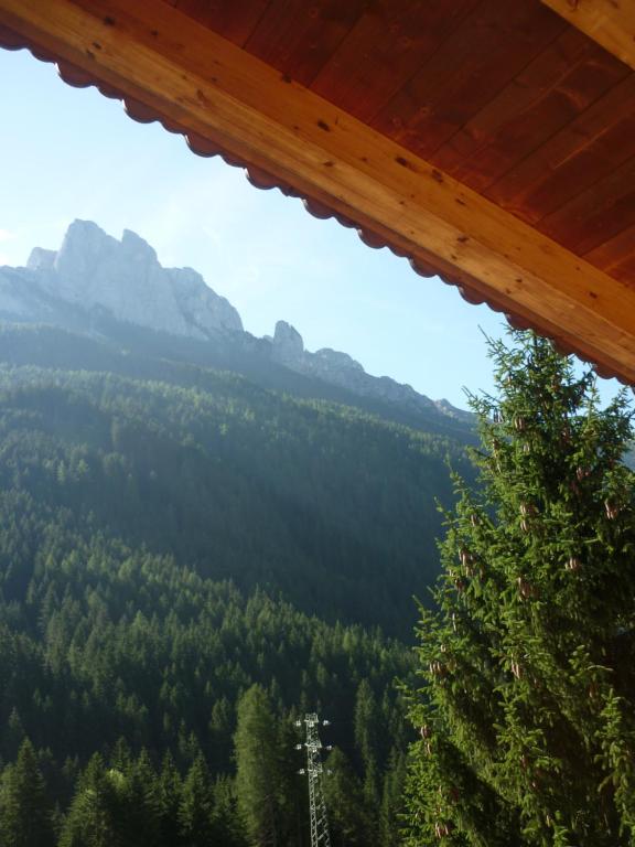 a view of a forest with mountains in the background at Millenniumhotel in Vigo di Fassa