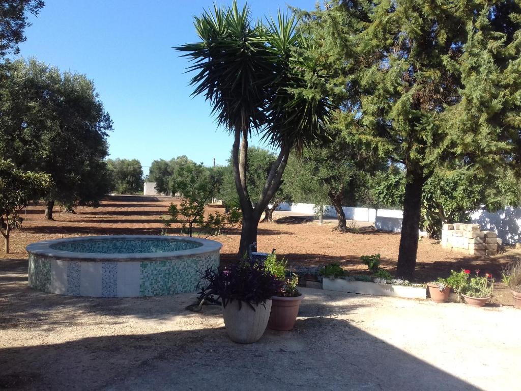 un jardín con una palmera y una piscina en Casa Carriero, en Carovigno