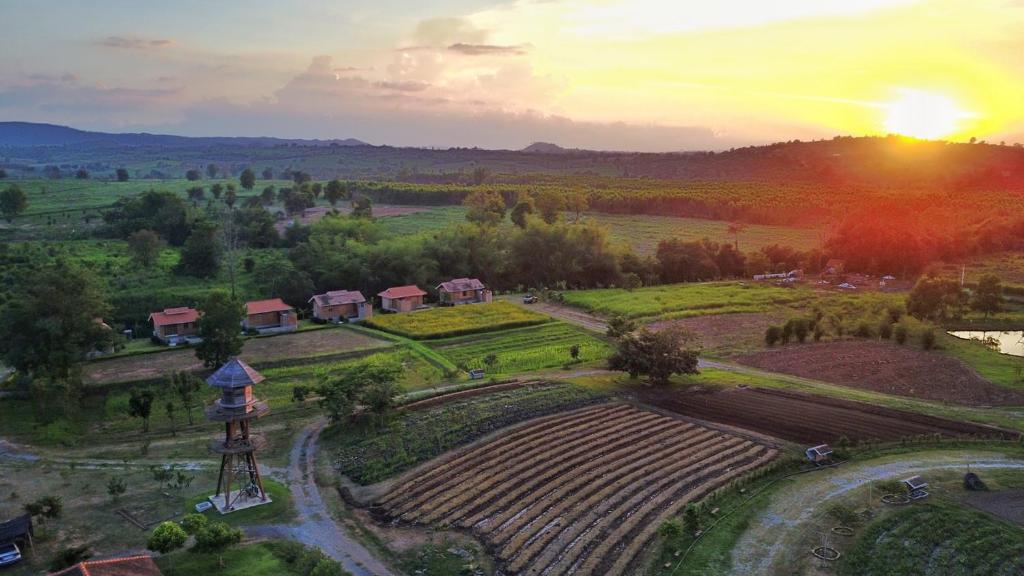 an aerial view of a farm at sunset at COOLLiving Farmhouse Organic in Wang Nam Khieo