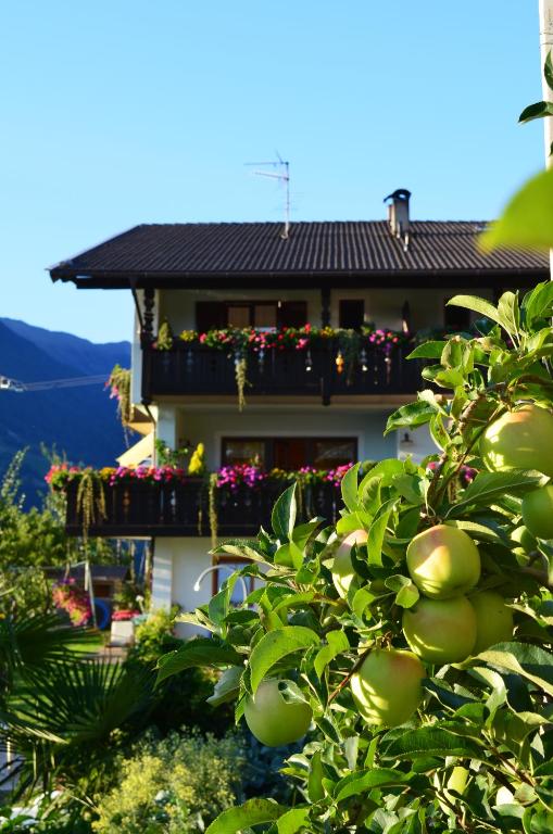 Ogród w obiekcie Zimmervermietung Gröberhof