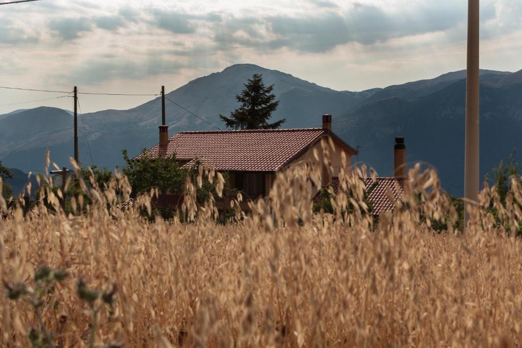 Nespecifikovaný výhled na hory nebo výhled na hory při pohledu z bed and breakfast