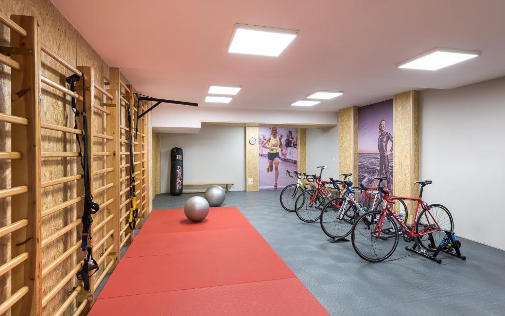 Posilňovňa alebo fitness centrum v ubytovaní Interferie Sport Hotel Bornit