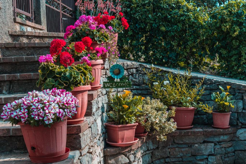 Zahrada ubytování B&B Matilde