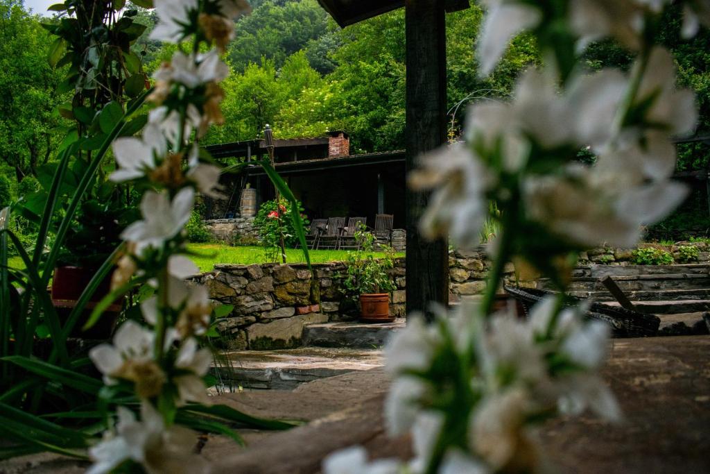 Zahrada ubytování Guest House Verbena