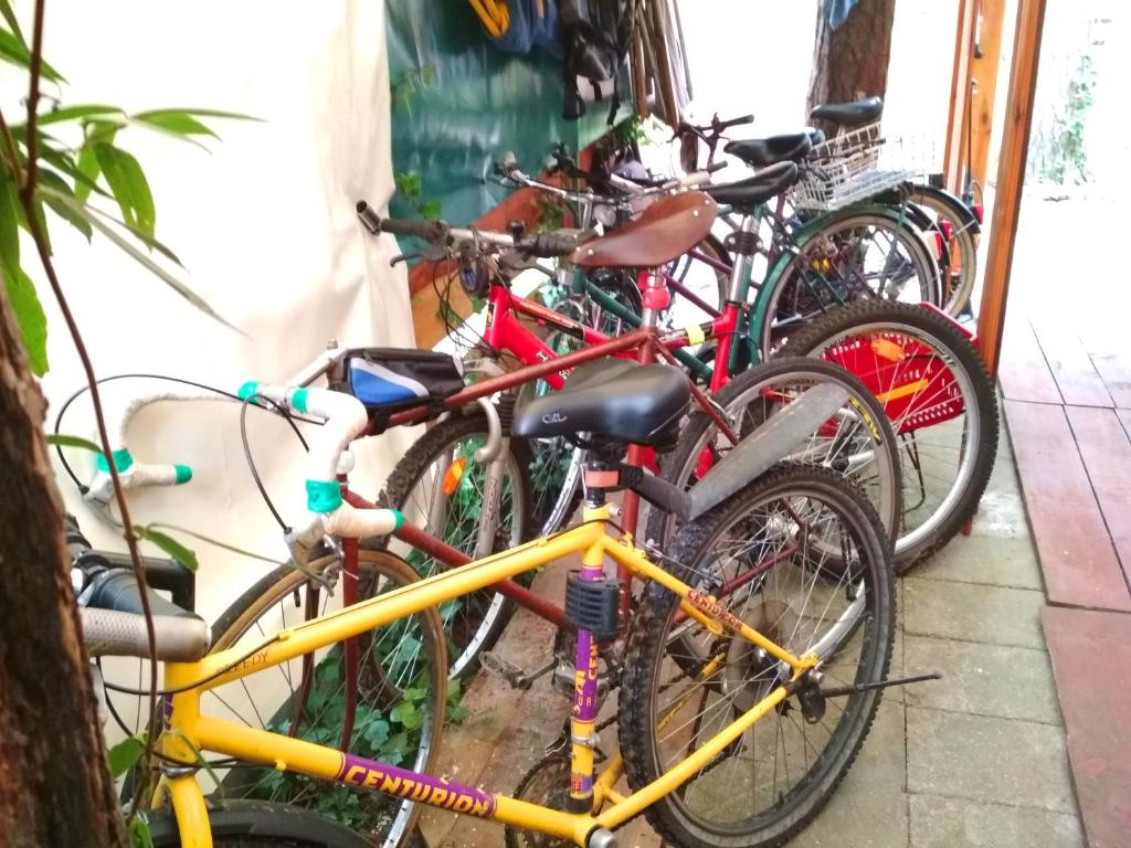 Jízda na kole v ubytování PEPASÓWKA Chatka Puchatka nebo okolí