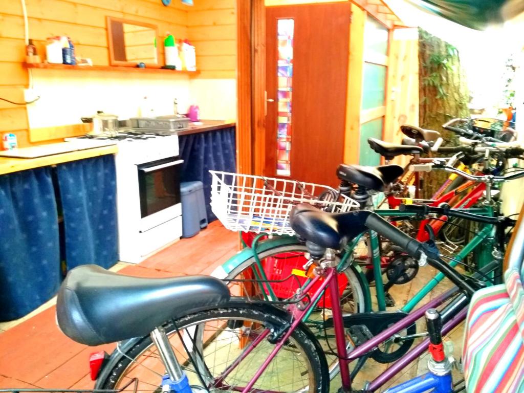 Jízda na kole v ubytování PEPASÓWKA nebo okolí