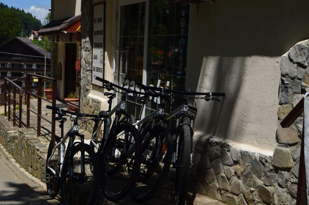 Jízda na kole v ubytování Pensiunea Faast nebo okolí