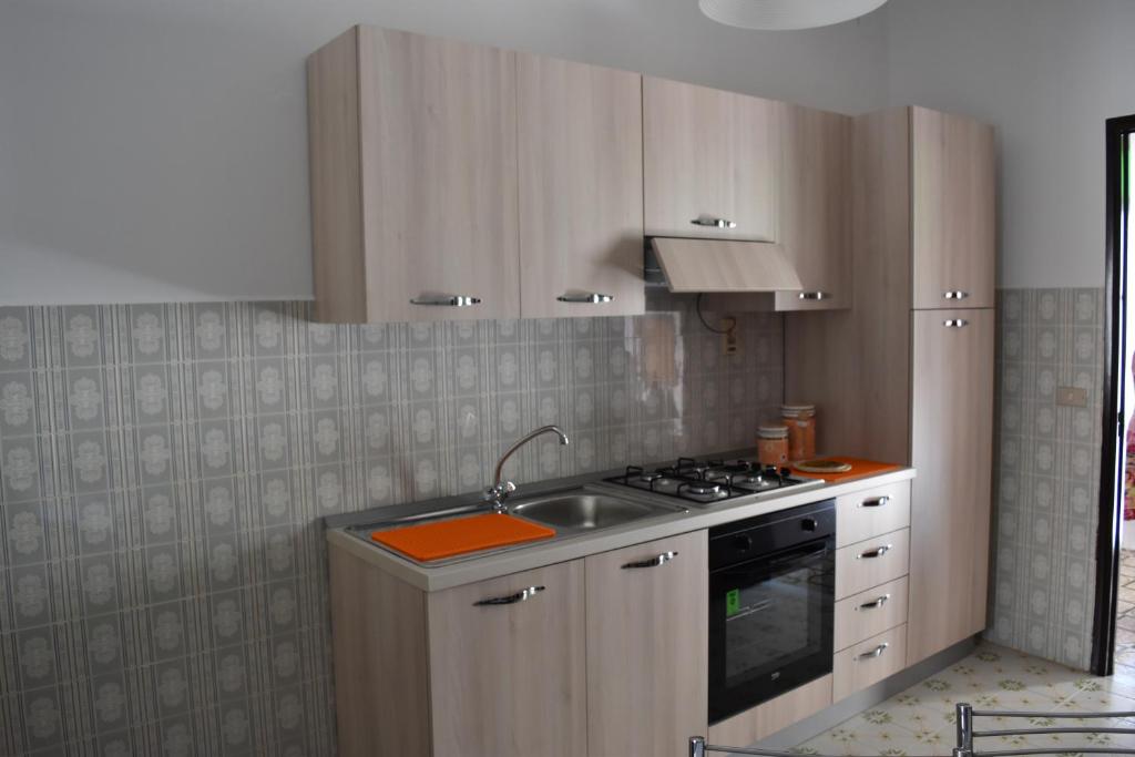 kuchnia ze zlewem i kuchenką górny piekarnik w obiekcie Casa Skanderbek w mieście Civita