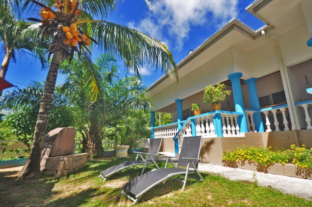 una casa con una palmera y sillas en el patio en Acquario Guesthouse en Praslin