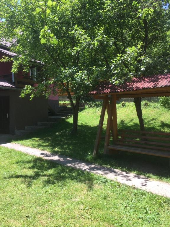 un arbre assis dans l'herbe à côté d'un bâtiment dans l'établissement Cabana Felyviss, à Gîrda de Sus