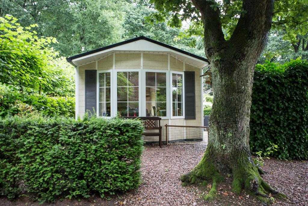 una pequeña casa con un banco junto a un árbol en Chalet vakantie Wageningen en Wageningen