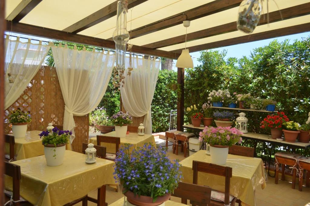 Zahrada ubytování Ansise Guest House