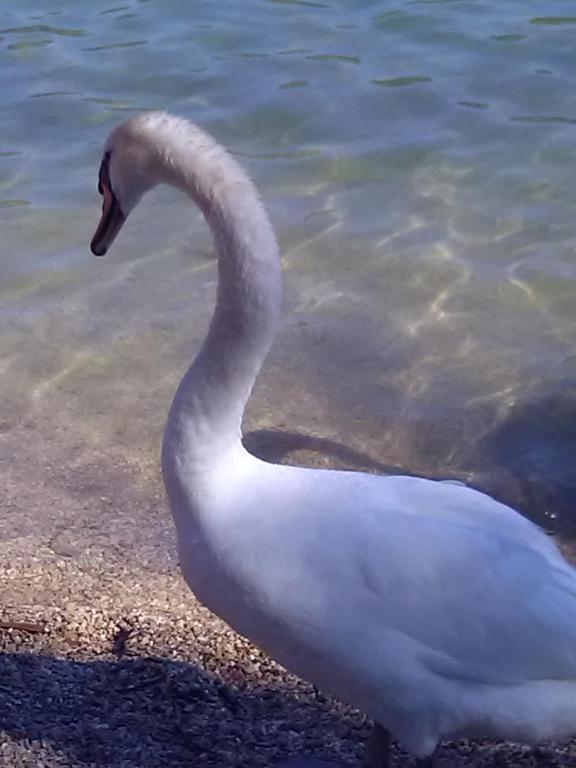 Panorama Apartments - 19