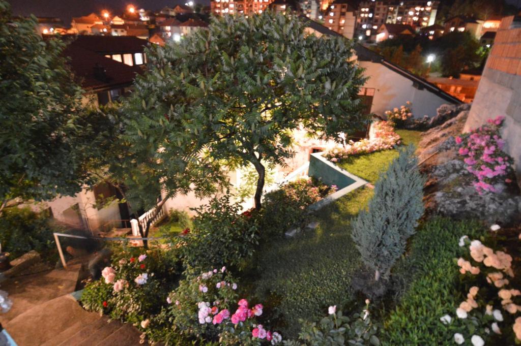 Zahrada ubytování Hotel 24 jul