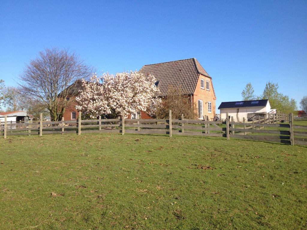 una cerca en un campo con una casa y un árbol en Pension Roager, en Jejsing