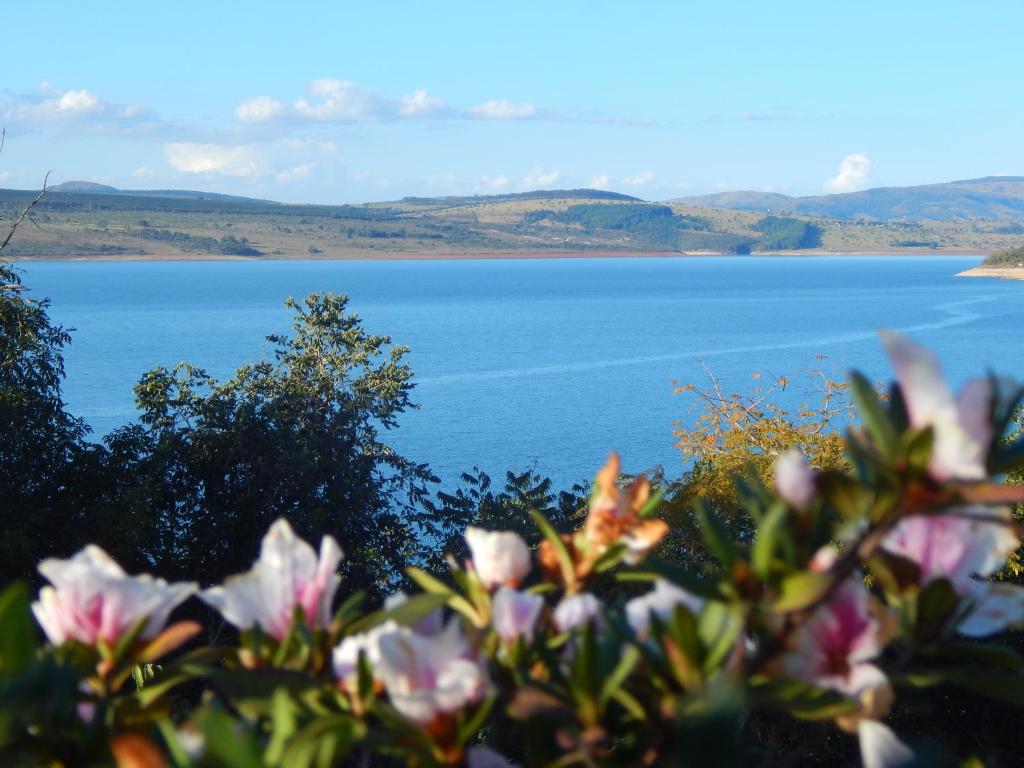 a view of a lake with flowers in the foreground at Pousada Marina do Farol in São José da Barra