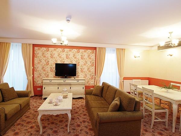 TV a/nebo společenská místnost v ubytování Hotel Fajkier