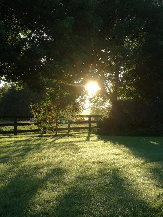 Conach House - Resim 20