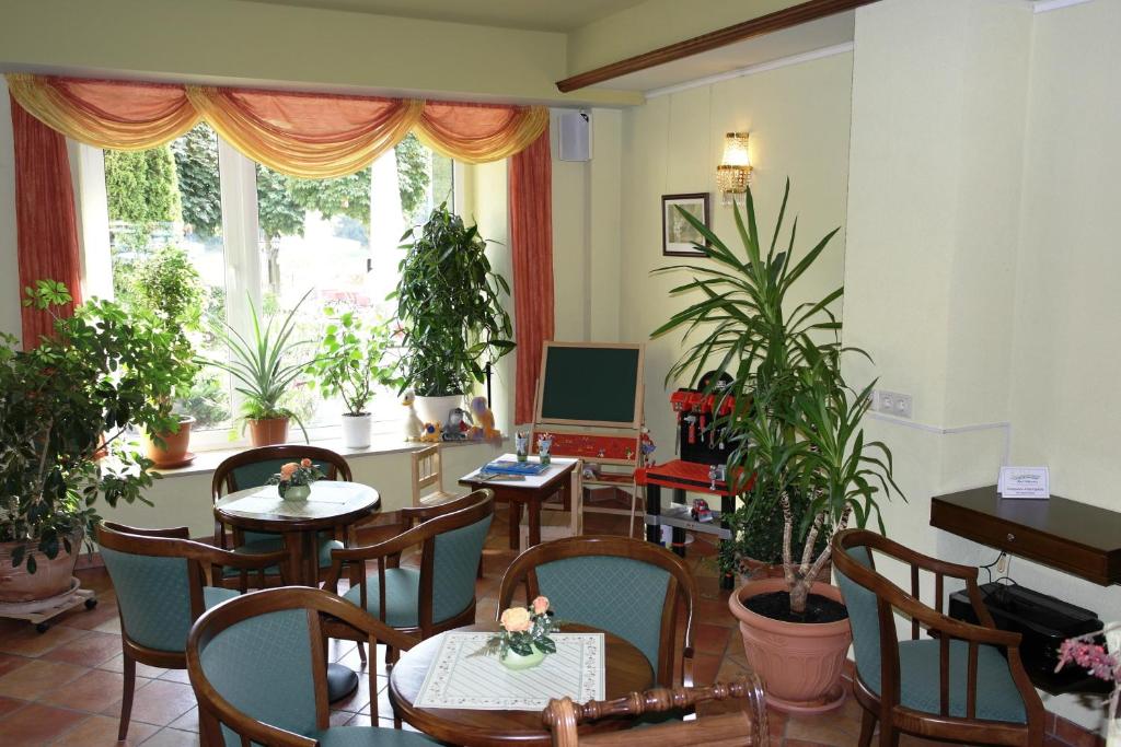 TV a/nebo společenská místnost v ubytování Elbhotel Bad Schandau
