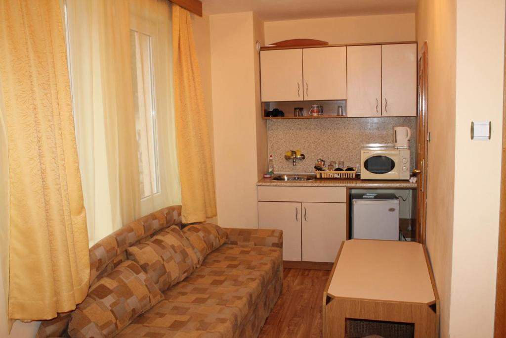 Kuchyň nebo kuchyňský kout v ubytování Apart Hotel Hetodon