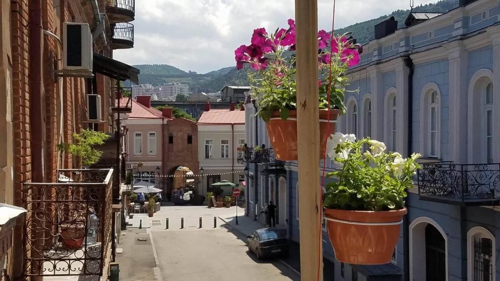 an alley with pots of flowers on a building at Art House in Tbilisi City