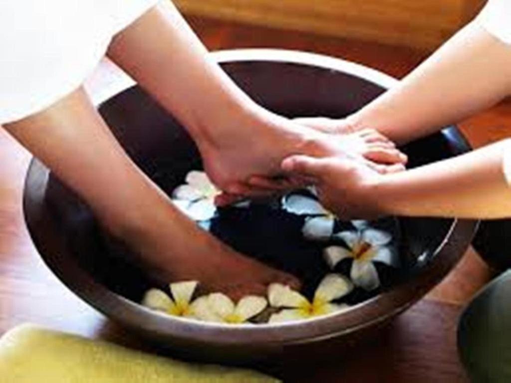 Hosté ubytování Oasey Ayurveda Hotel