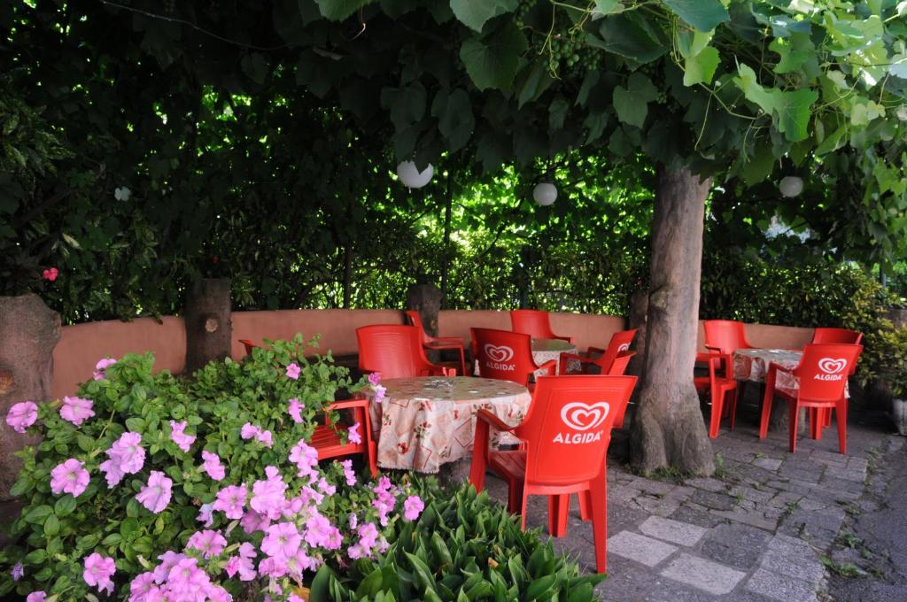 Zahrada ubytování Hotel Eternità