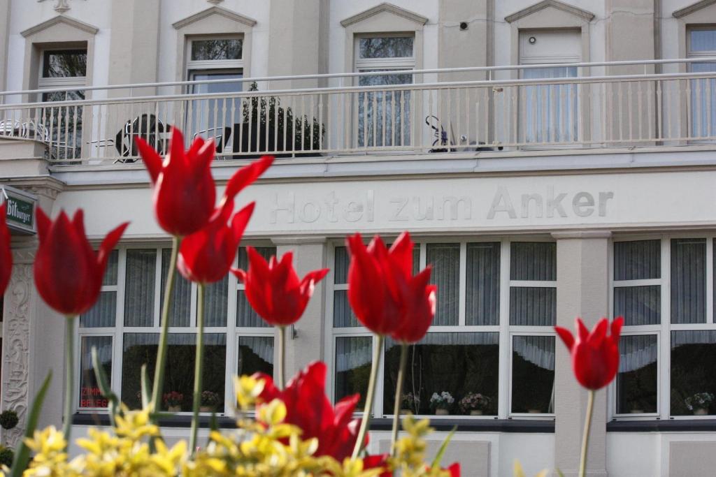 Fotografie z fotogalerie ubytování Hotel zum Anker v destinaci Andernach