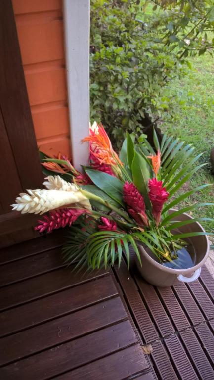 Zahrada ubytování Cap Martinique