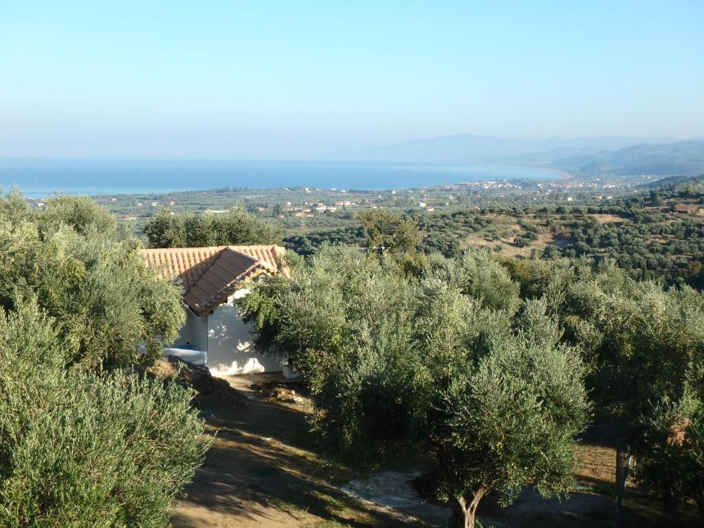 a view of a farm with olive trees at Ferienhaus Olive Garden in Kyparissia