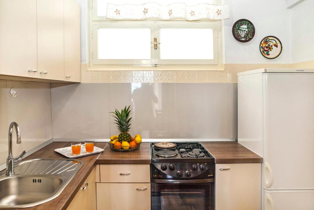 Kuchyň nebo kuchyňský kout v ubytování Apartmani Ines