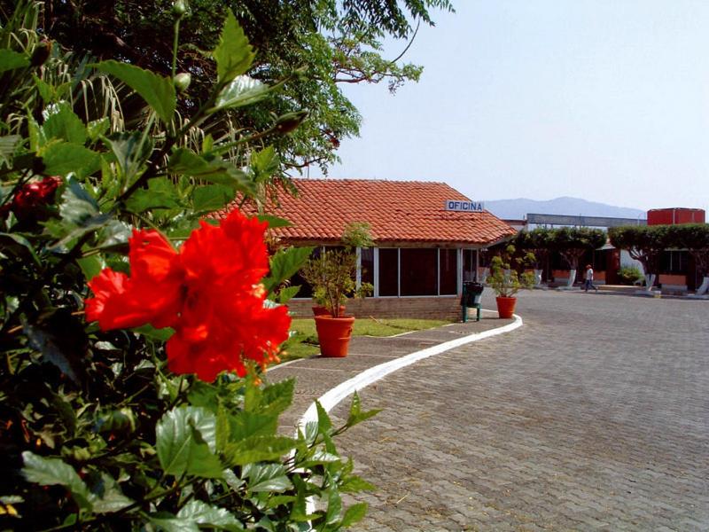 een rode bloem op een struik voor een gebouw bij Hotel Paraiso in Tepic