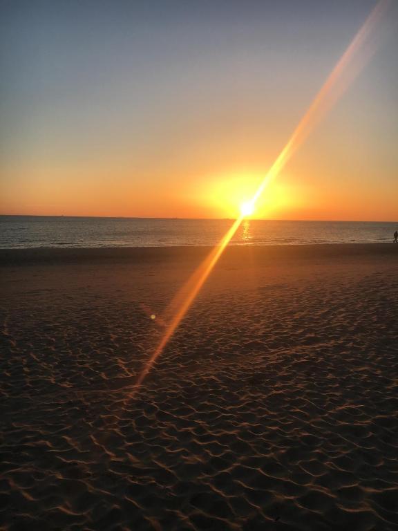 Hotel Pomaranczowa Plaza - Resim 27