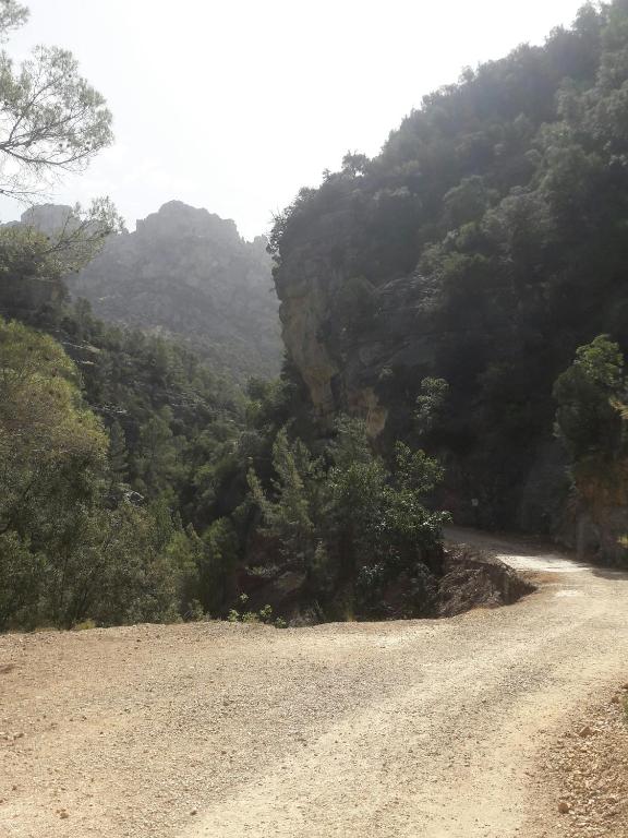 Un paisaje natural cerca de la casa vacacional