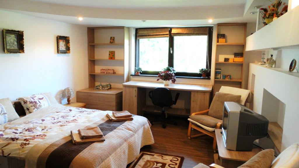 een slaapkamer met een bed, een bureau en een raam bij Di-Ana in Sibiu