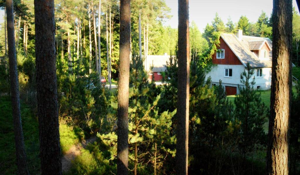 une maison au milieu d'une forêt d'arbres dans l'établissement Roosi Holiday Home, à Rannaküla