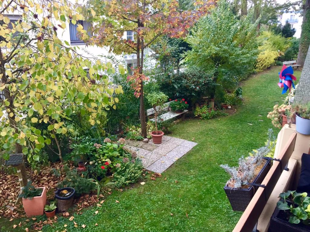 einen Hinterhof mit einem Garten mit Pflanzen und Bäumen in der Unterkunft Exclusive Lounge Appartement in Bad Bellingen