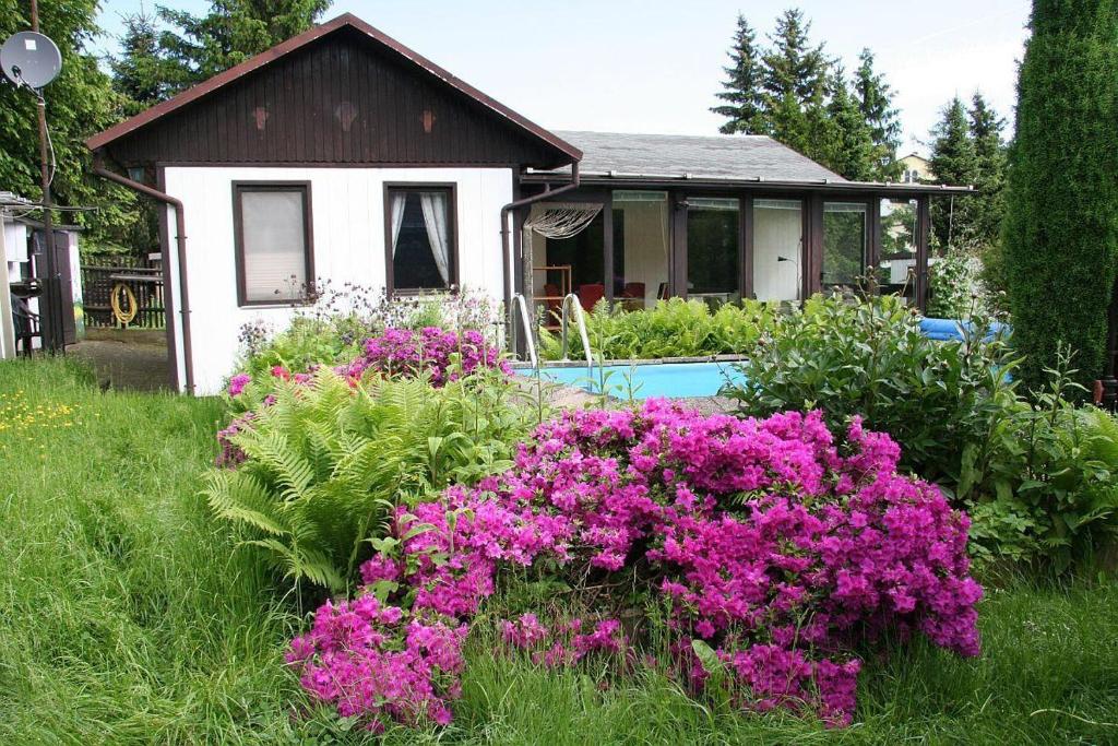 a house with purple flowers in the yard at Ferienhaus-Maxen in Müglitztal