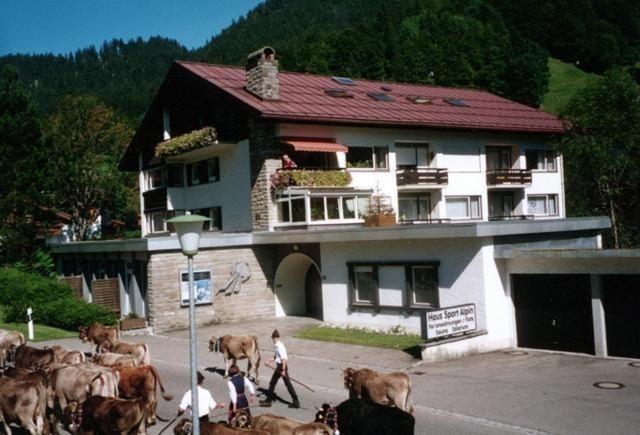 eine Kuhherde, die vor einem Gebäude läuft in der Unterkunft Sport Alpin Wohnung 130 in Oberstdorf