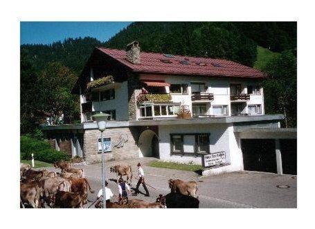 a group of cows standing in front of a building at Sport-Alpin-Wohnung-9 in Oberstdorf