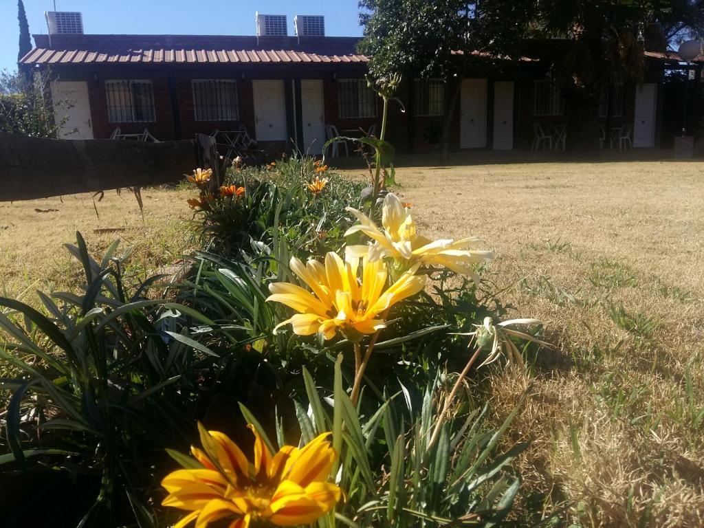 un jardin avec des fleurs jaunes devant une maison dans l'établissement posada cerro los nogales, à Villa San Agustín