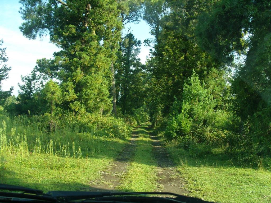 Příroda nedaleko penzionu