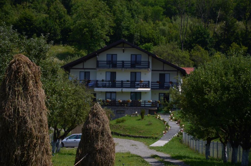 a large house on a hill with a driveway at Popasul Ioana Oncesti in Onceşti