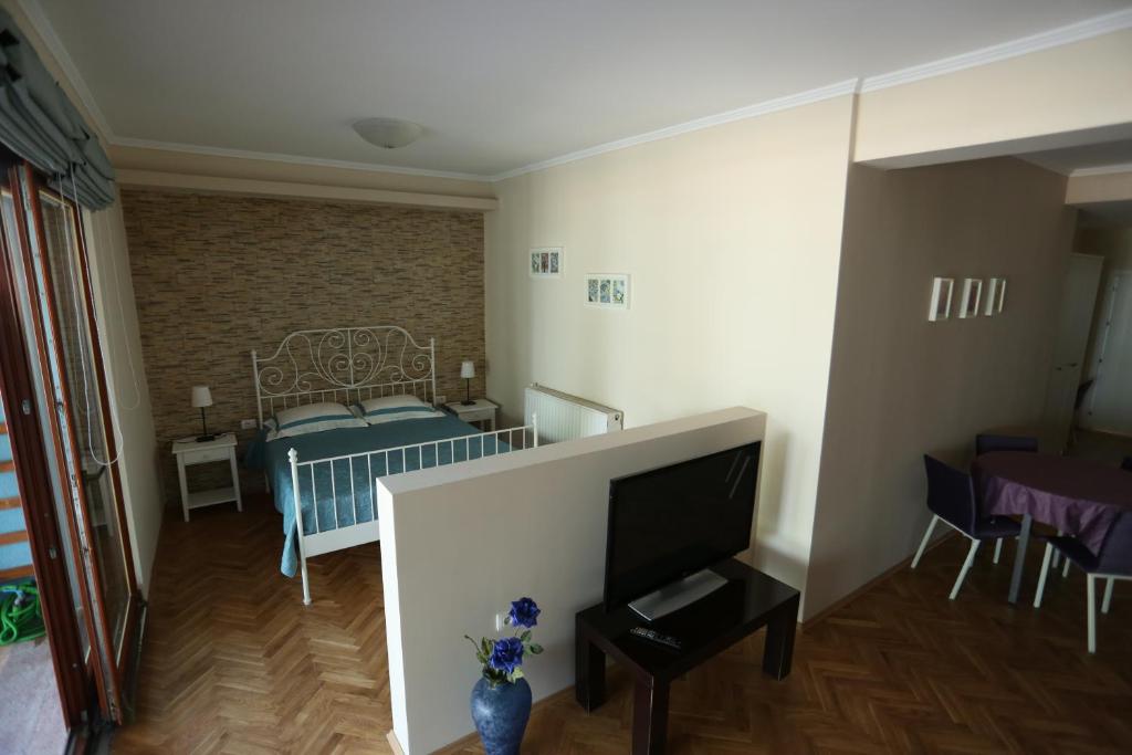 TV a/nebo společenská místnost v ubytování Apartment Plaisir