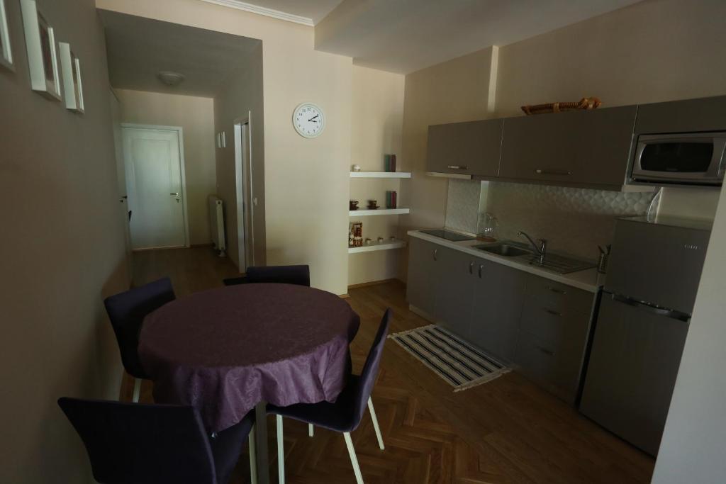 Kuchyň nebo kuchyňský kout v ubytování Apartment Plaisir