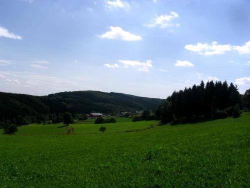 Příroda nedaleko penzionu