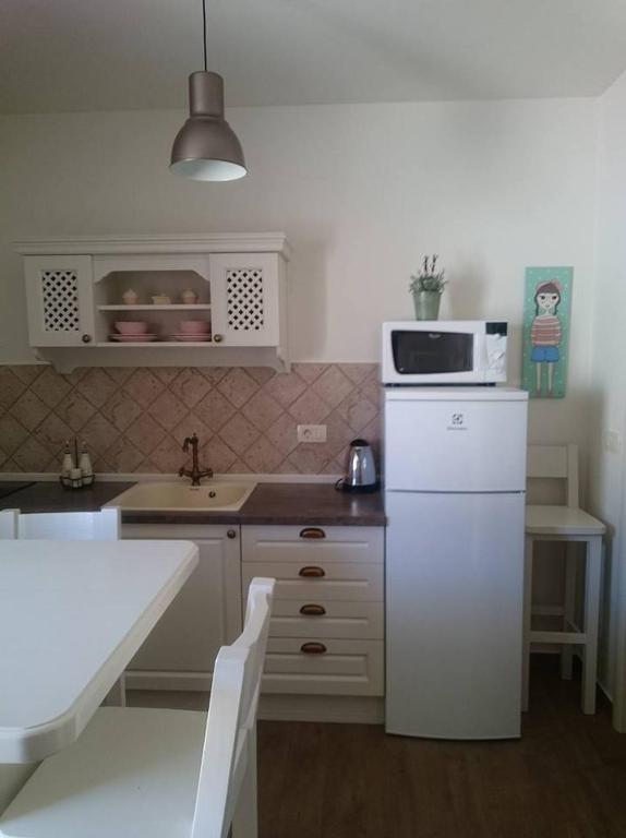 Kuchyň nebo kuchyňský kout v ubytování Apartments ZARA & TONI